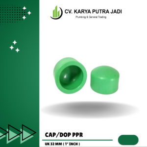 CAP PPR