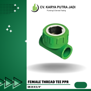 Ftt25