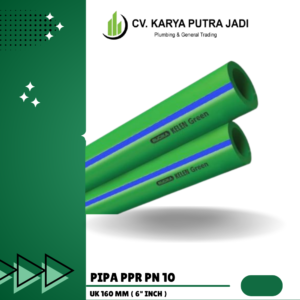 Pn10