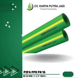 Pn16