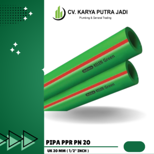 Pn20