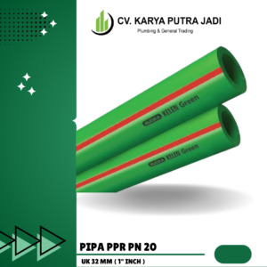 Pn20